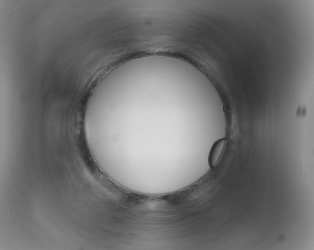 X0000112520210200908171120