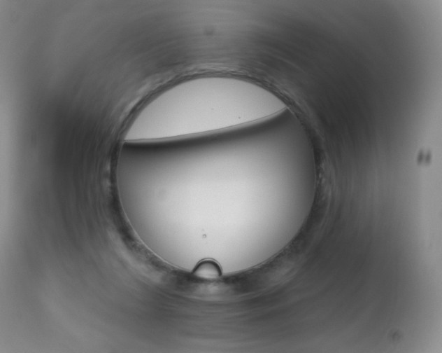 X0000112520212200908171120
