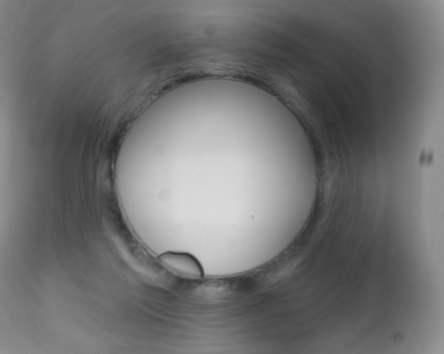 X0000112520213200908171120