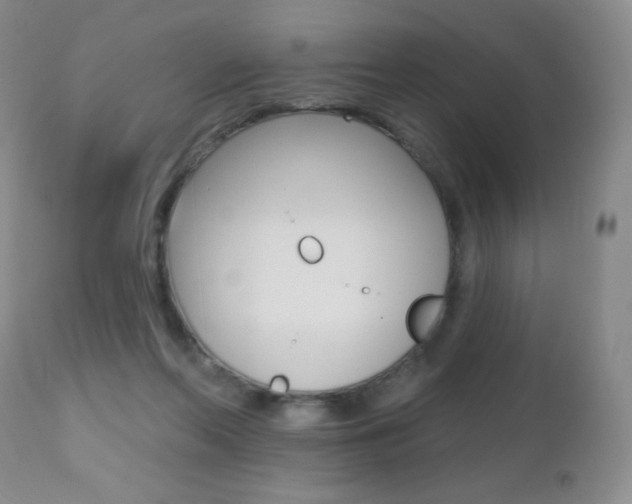 X0000112520214200908171120