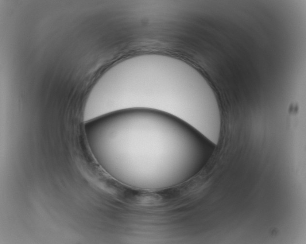 X0000112520215200908171120