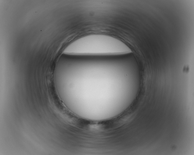 X0000112520216200908171120