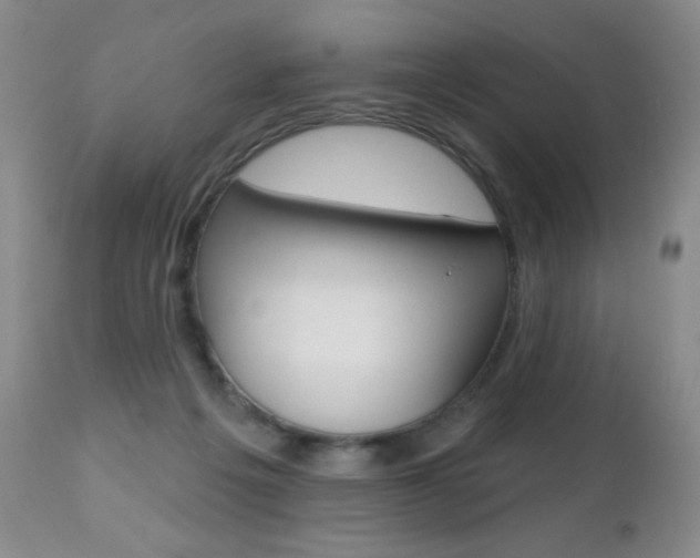 X0000112520217200908171120