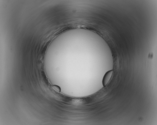 X0000112520218200908171120