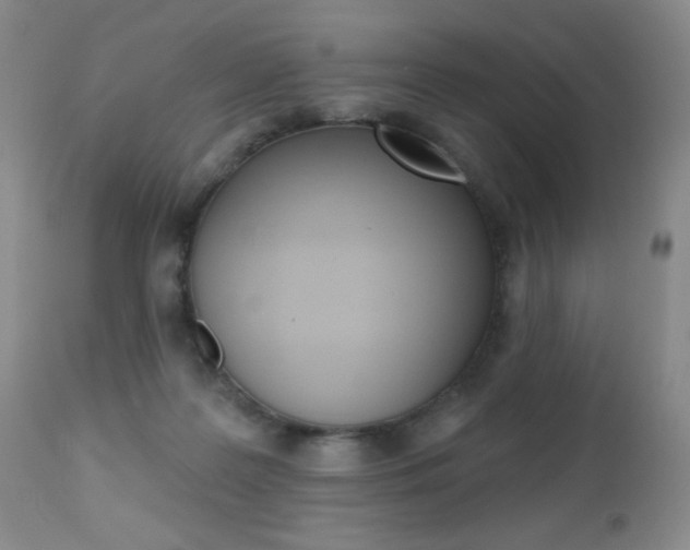 X0000112520219200908171120
