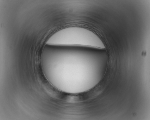 X0000112520220200908171120