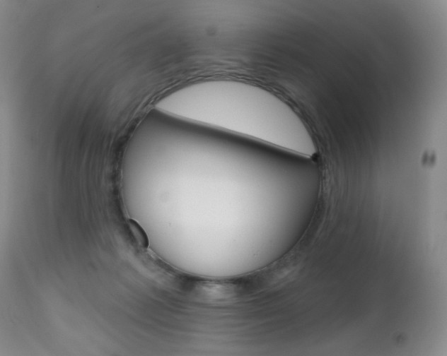 X0000112520221200908171120