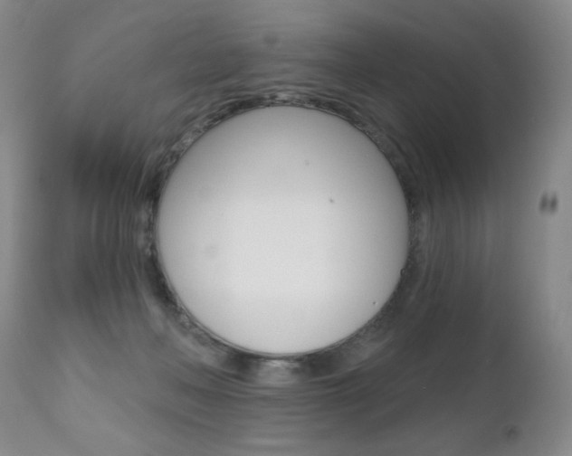 X0000112520222200908171120