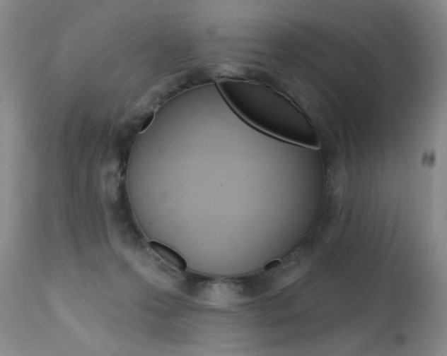 X0000112520223200908171120