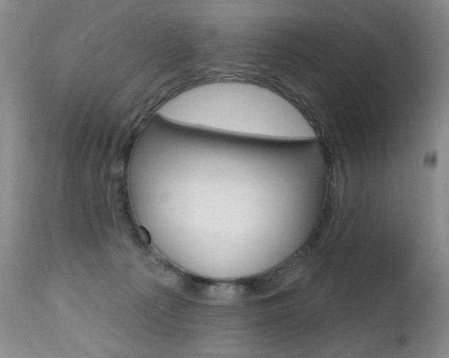 X0000112520225200908171120