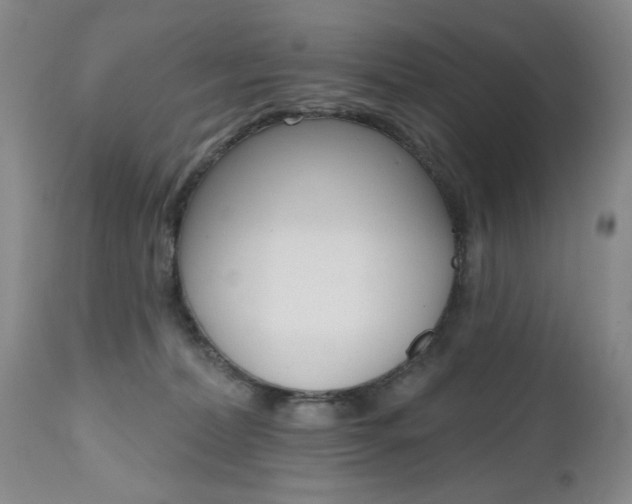 X0000112520228200908171120