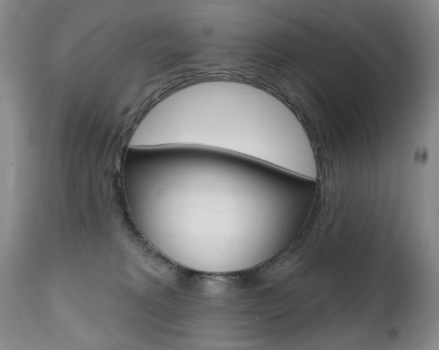 X0000112520229200908171120