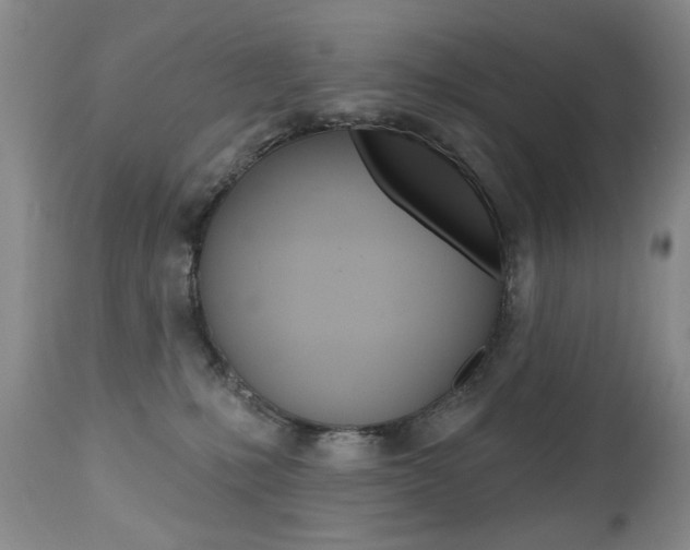 X0000112520231200908171120