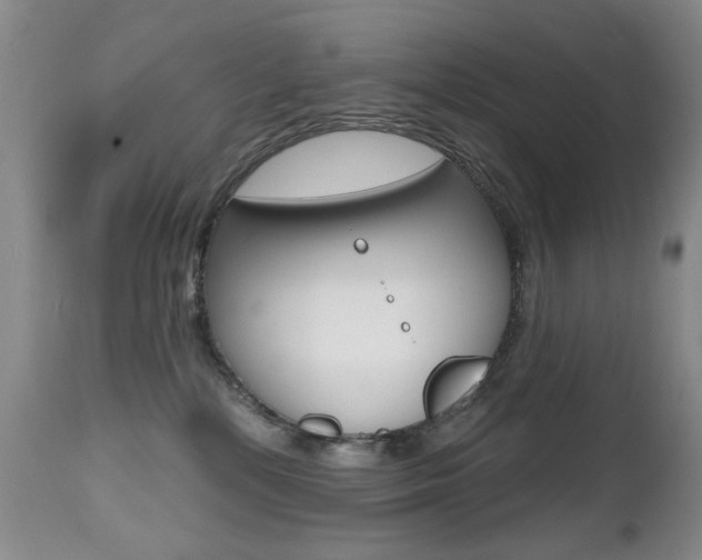X0000112520232200908171120