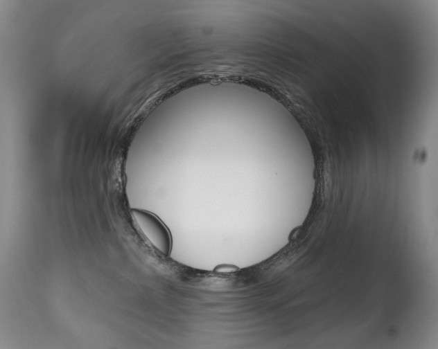 X0000112520236200908171120