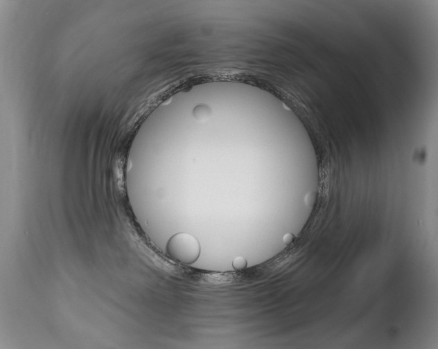X0000112520238200908171120