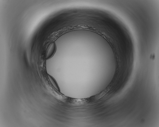 X0000112520239200908171120