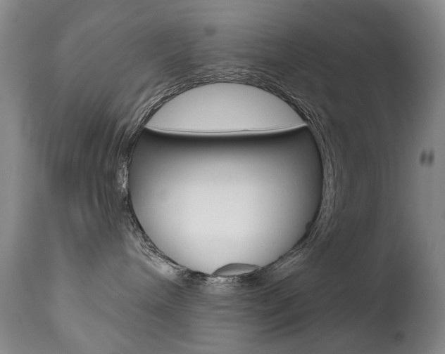 X0000112520240200908171120