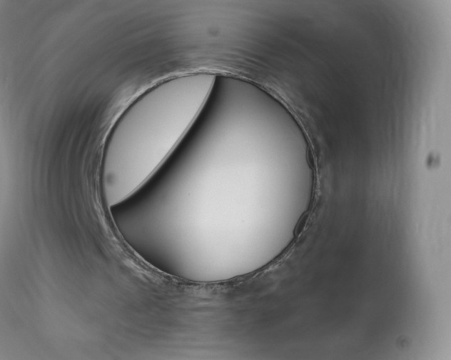 X0000112520241200908171119