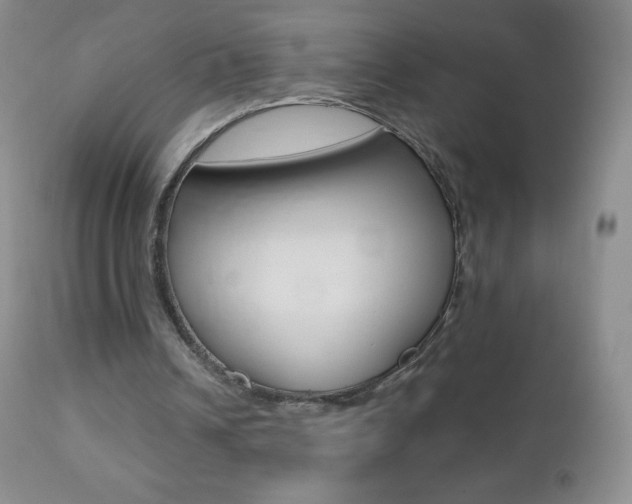 X0000112520242200908171119