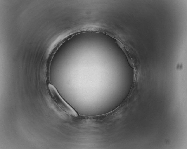 X0000112520244200908171119