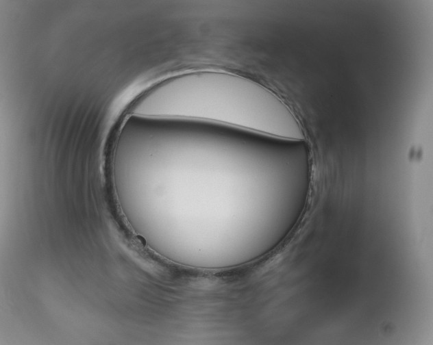 X0000112520246200908171119
