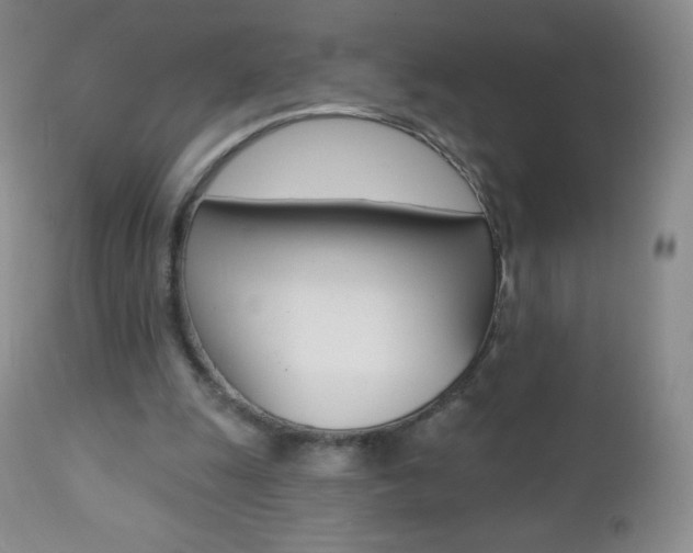 X0000112520247200908171119