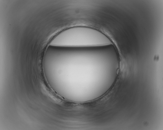 X0000112520249200908171119