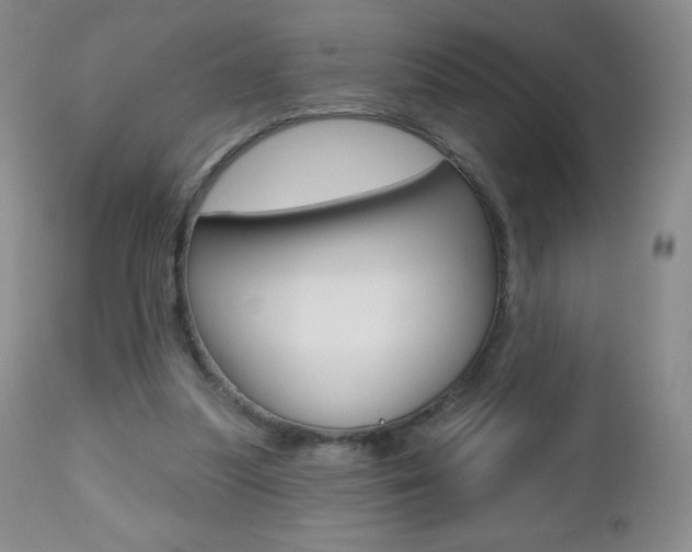 X0000112520251200908171119