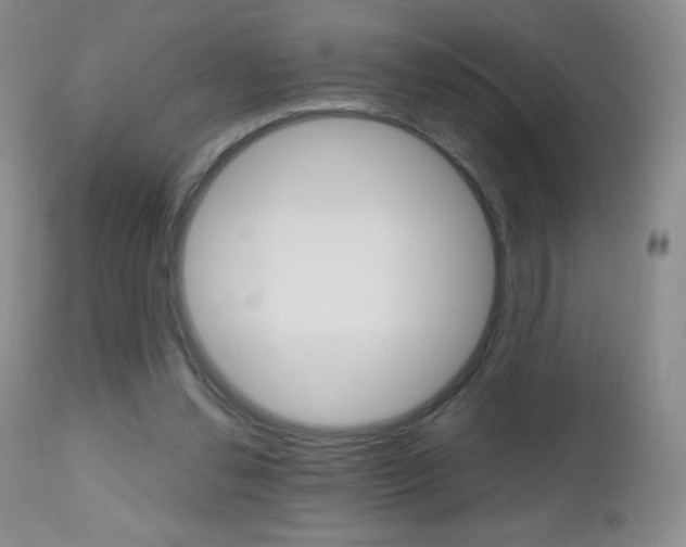 X0000112520252200908171119