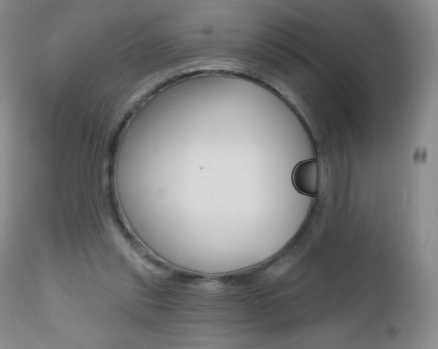 X0000112520253200908171119