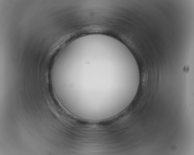 X0000112520254200908171119