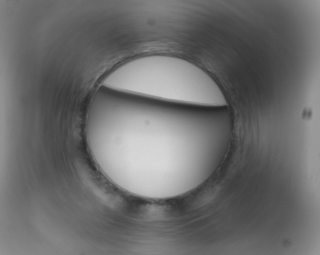 X0000112520255200908171119