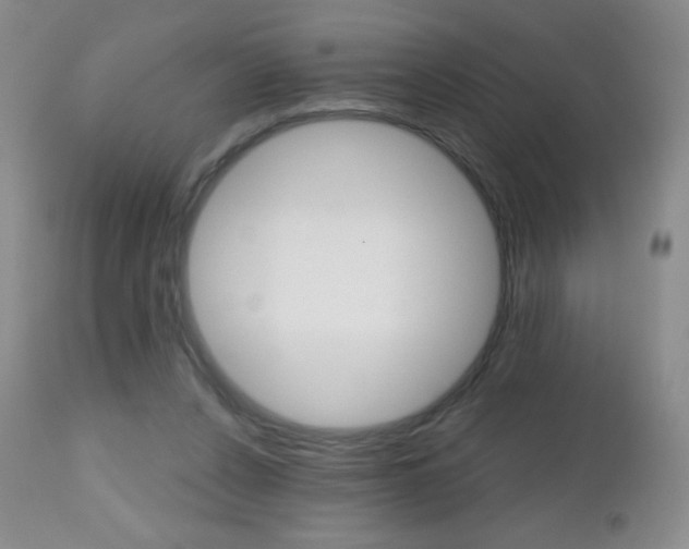 X0000112520256200908171119