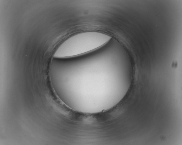 X0000112520258200908171119