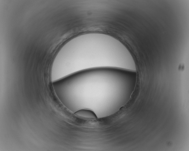 X0000112520260200908171119