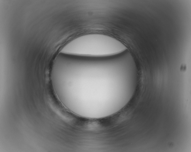 X0000112520262200908171119