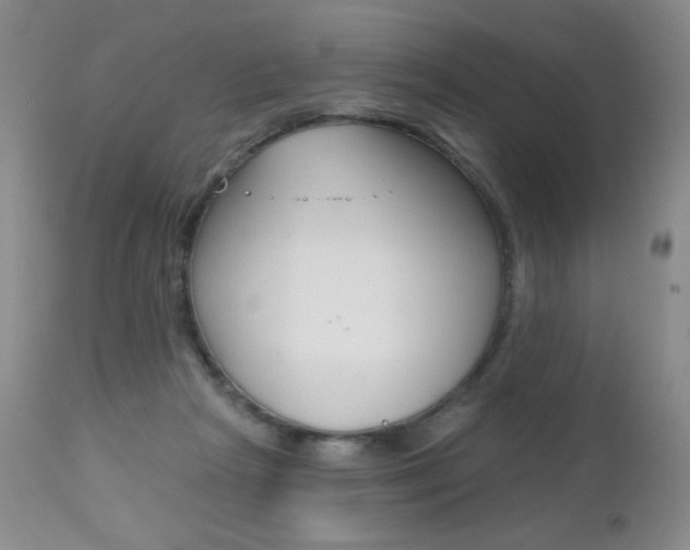 X0000112520265200908171119