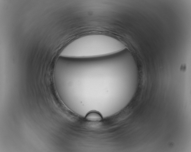 X0000112520266200908171119