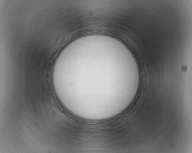 X0000112520268200908171119