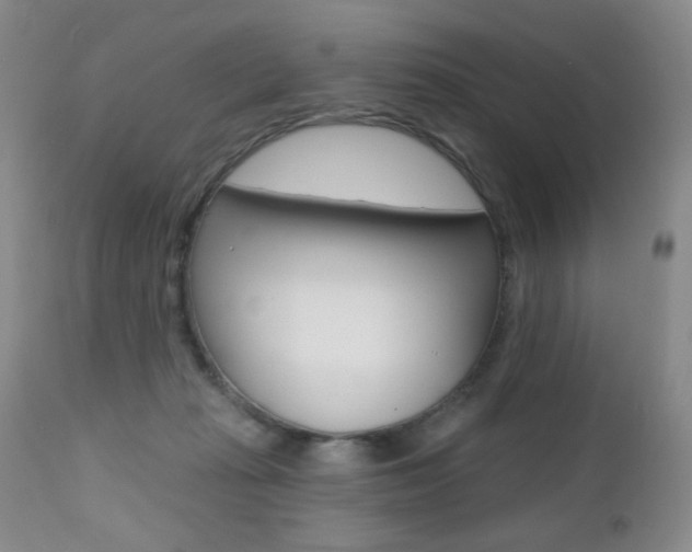 X0000112520269200908171119