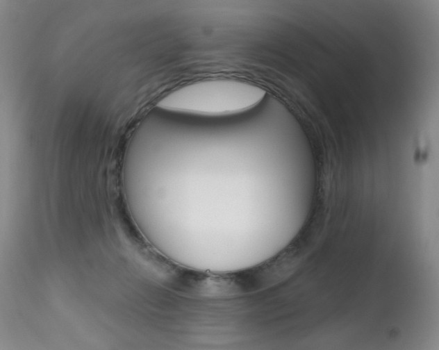 X0000112520270200908171119