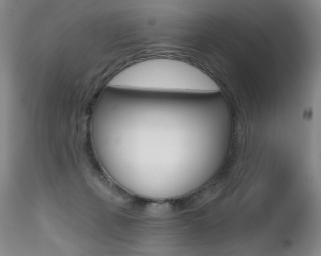 X0000112520271200908171119
