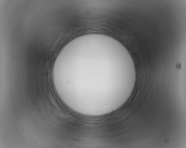 X0000112520272200908171119