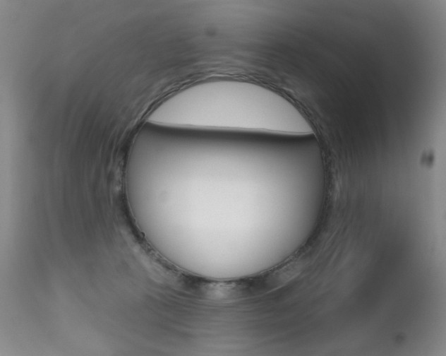 X0000112520273200908171119