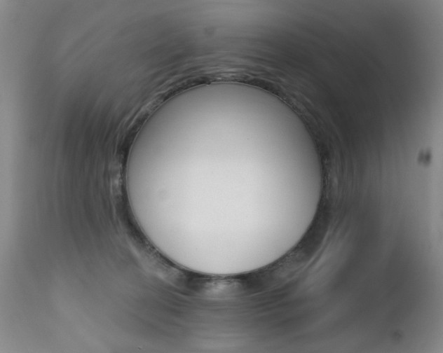 X0000112520274200908171119