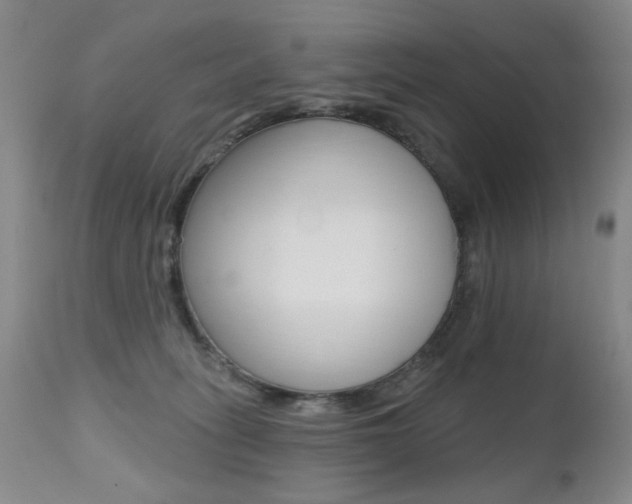 X0000112520275200908171119