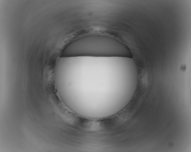 X0000112520276200908171119