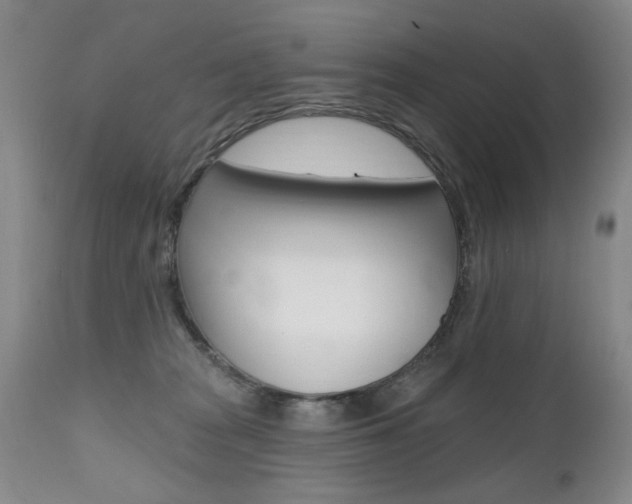 X0000112520277200908171119