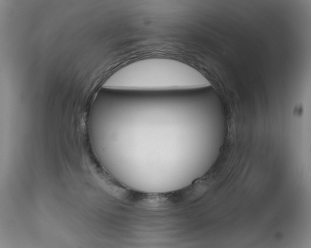 X0000112520278200908171119